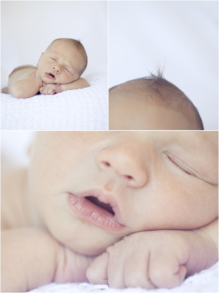 houston newborn photographer 003