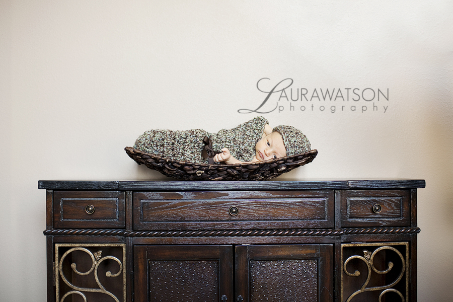 sugar land newborn photographer 002 blog