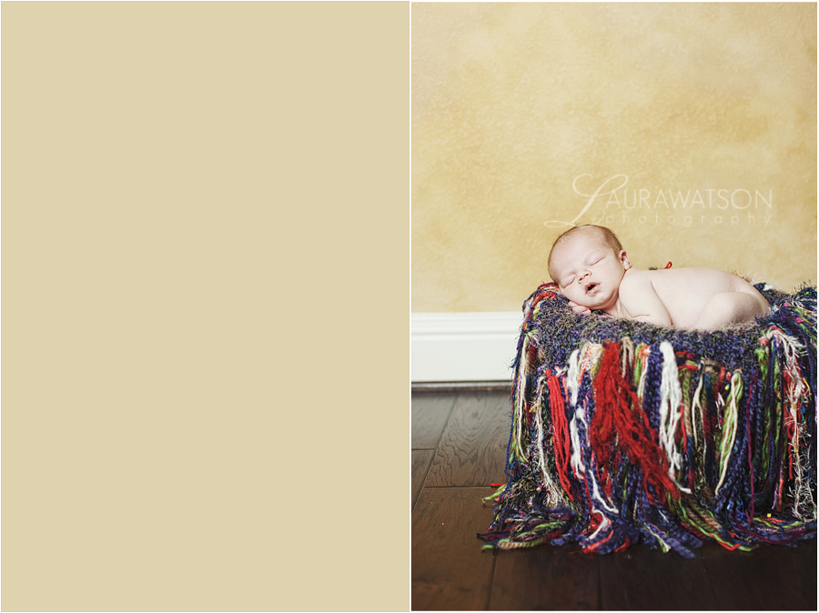 sugar land newborn photos laura watson photography 004