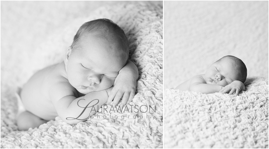 newborn baby on white sugar land newborn photographer