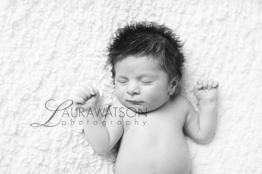 sugar land newborn photographer laura watson 001