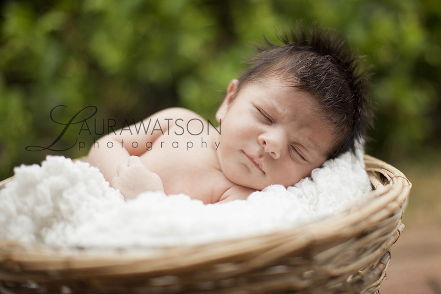 sugar land newborn photographer laura watson 004