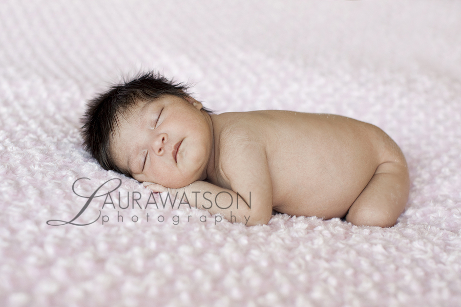 sugar land newborn photographer laura watson photography baby photographer 002