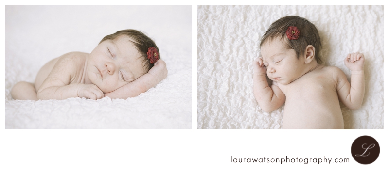 sugar land newborn photographer | sienna plantation newborn photographer