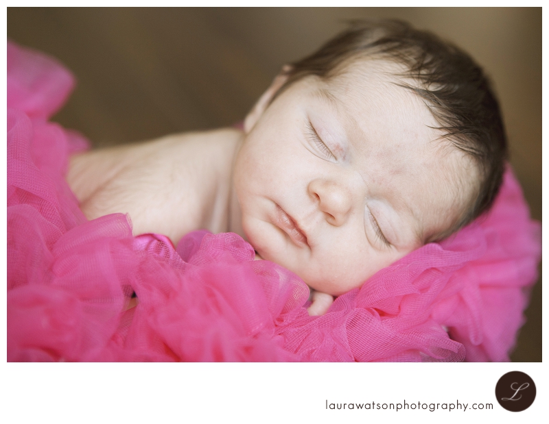 sugar land newborn photographer baby photographer