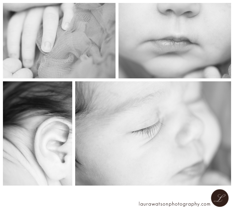 sugar land baby photographer