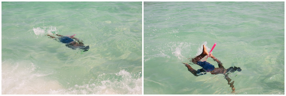 navarre_2014_0008